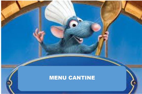 Capture d’écran_16-1-2026_143228_.jpeg